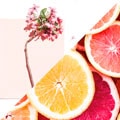 Floral-e-Frutado_120x120