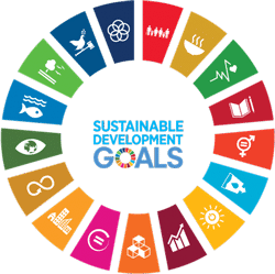 SDG logo.png