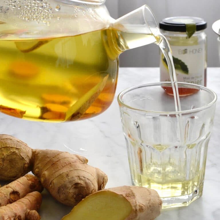 les infusions bio | kusmi